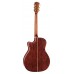 CORT GOLD A8 (Light Burst) Акустична гітара (GOLD-A8 LB w/case)
