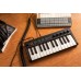 IK MULTIMEDIA iRig Keys 2 Mini MIDI клавіатура