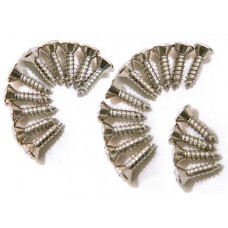 DIMARZIO GH1000C PICKGUARD/BACKPLATE SCREWS - SET OF 24 (CHROME) Набір шурупів-саморізів для панелі LP