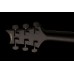PRS DW CE 24 FLOYD (Waring Burst) електрогітара