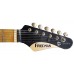FRIEDMAN VINTAGE-T (Shoreline Gold) Електрогітара (AMGNH)
