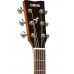 YAMAHA FSX820C (Natural) Електро-акустична гітара (FSX820C NT)