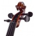 STENTOR 1542/A GRADUATE VIOLIN OUTFIT 4/4 Скрипка