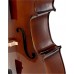 STENTOR 1102/C STUDENT I CELLO OUTFIT 3/4 Віолончель