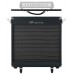 AMPEG PF-210HE PORTAFLEX SPEAKER CABINET Кабінет для бас-гітари