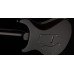 PRS SE Custom 24 (Black Gold Burst) Електрогітара (SECU44BG)