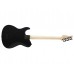 FUJIGEN JIL2ASHDE664R Iliad Dark Evolution Series (Open Pore Black) Електрогітара баритон