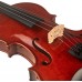 STENTOR 1550/A CONSERVATOIRE VIOLIN OUTFIT 4/4 Скрипка