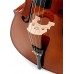 STENTOR 1108/C STUDENT II CELLO OUTFIT 3/4 Віолончель