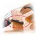 PAXPHIL VPU100 п'єзодатчики для скрипки