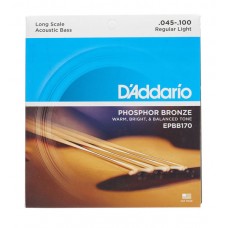 D'ADDARIO EPBB170 ACOUSTIC BASS PHOSPHOR BRONZE LIGHT 4-STRING 45-100 Струни для акустичного баса