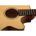 CORT SFXE (Natural Satin) Електро-акустична гітара (SFXE NS)