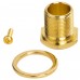 WARWICK SP W30036 PG 1L Warwick Machinehead, Left (Bass Side) - Gold Кілок для бас-гітари