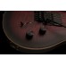 PRS DW CE 24 FLOYD (Waring Burst) електрогітара