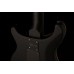 PRS DW CE 24 FLOYD (Waring Burst) електрогітара