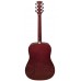 PARKSONS JB4111 (Natural) Акустична гітара (JB4111 NAT)
