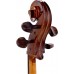 STENTOR 1102/E STUDENT I CELLO OUTFIT 1/2 Віолончель (1102E2)