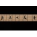 PRS DW CE 24 FLOYD (Waring Burst) електрогітара