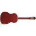 PARKSONS RCG001-39NF Класична гітара