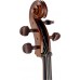 STENTOR 1102/C STUDENT I CELLO OUTFIT 3/4 Віолончель