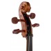 STENTOR 1102/F STUDENT I CELLO OUTFIT 1/4 Віолончель (1102F2)