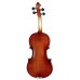 STENTOR 1542/C GRADUATE VIOLIN OUTFIT 3/4 Скрипка