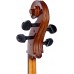 STENTOR 1108/A STUDENT II CELLO OUTFIT 4/4 Віолончель
