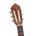 CORT AC70 (Open Pore) w/Bag Класична гітара 3/4 c чохлом (AC70 OP w/bag) CORT AC70 (Open Pore) w/Bag Класична гітара 3/4 c чохлом (AC70 OP w/bag)