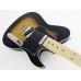 FUJIGEN JIL2-ASH-M Iliad J-Standard (2-Tone Sunburst) електрогітара