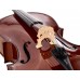 STENTOR 1102/F STUDENT I CELLO OUTFIT 1/4 Віолончель (1102F2)