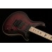 PRS DW CE 24 FLOYD (Waring Burst) електрогітара