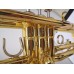 GOTOH SG301-20 GG Кілки для гітари
