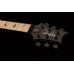 PRS DW CE 24 FLOYD (Waring Burst) електрогітара