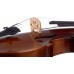 STENTOR 1542/A GRADUATE VIOLIN OUTFIT 4/4 Скрипка