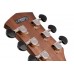CORT Core-OC Blackwood (Open Pore Light Burst) Акустична гітара (CORE-OC ABW OPLB w/case)