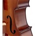STENTOR 1108/A STUDENT II CELLO OUTFIT 4/4 Віолончель
