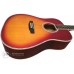 PARKSONS JB4111 (Sunburst) Акустична гітара (JB4111 SB)