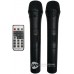 SOUNDKING LS911 Активна акустична система