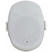 PEAVEY Impulse 5c (White) Всепогодна акустична система (Impulse 5c White)