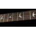 PRS SE Custom 24 (Black Gold Burst) Електрогітара (SECU44BG)