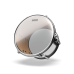 EVANS 8