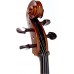STENTOR 1102/A STUDENT I CELLO OUTFIT 4/4 Віолончель