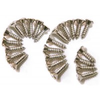 DIMARZIO GH1000C PICKGUARD/BACKPLATE SCREWS - SET OF 24 (CHROME) Набір шурупів-саморізів для панелі LP