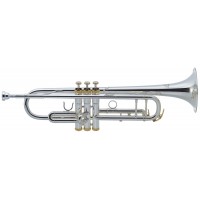 J.MICHAEL TR-500S (S) Trumpet Труба