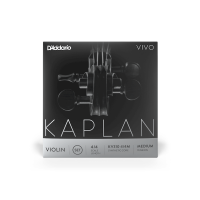 D'ADDARIO KAPLAN VIVO VIOLIN STRING SET 4/4 Scale Medium Tension Струни для скрипки (KV310 4/4M)